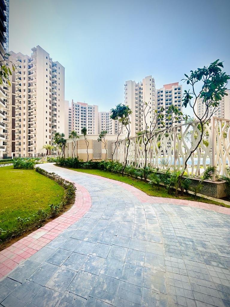 Oasis GrandStand 7